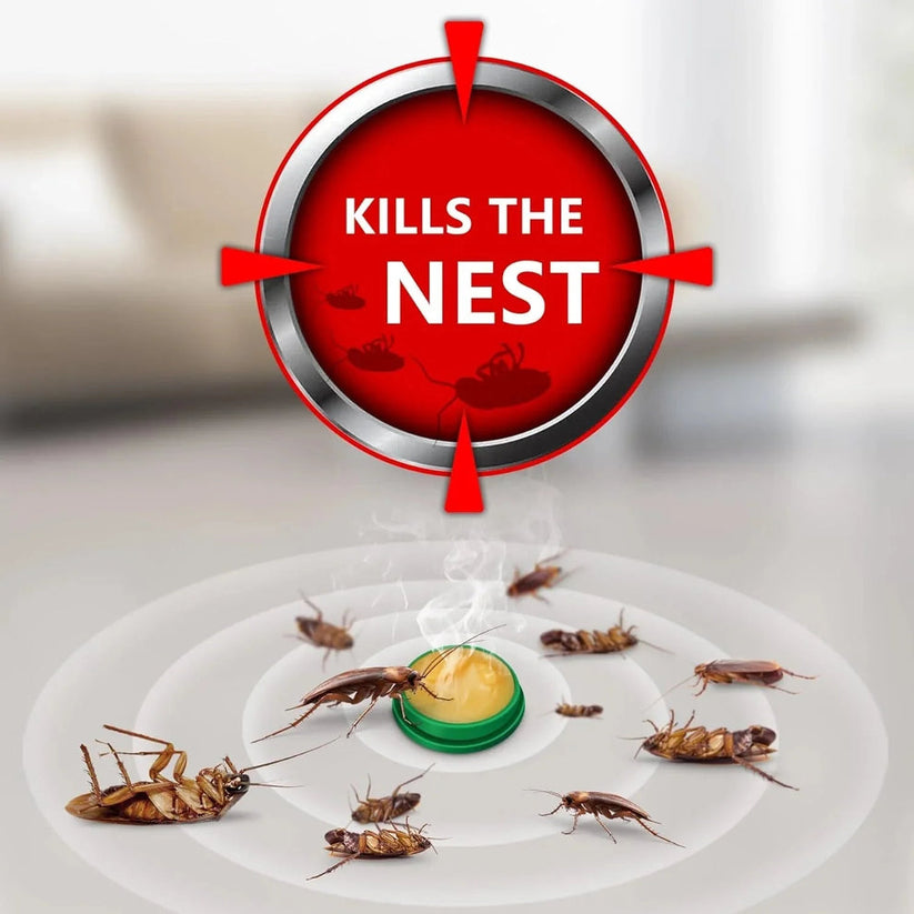 Cockroach Killer Gel/Powder (Pack of 12 pics )